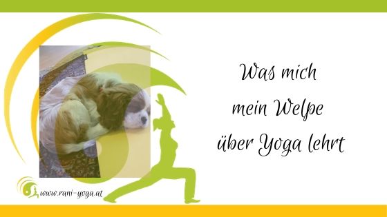 Was mir mein Welpe über Yoga beibringt